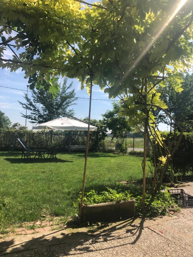 Al Divenire B&B Apartments San Giorgio di Mantova Zewnętrze zdjęcie